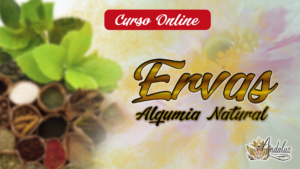 Workshop - Ervas Alquimia Natural